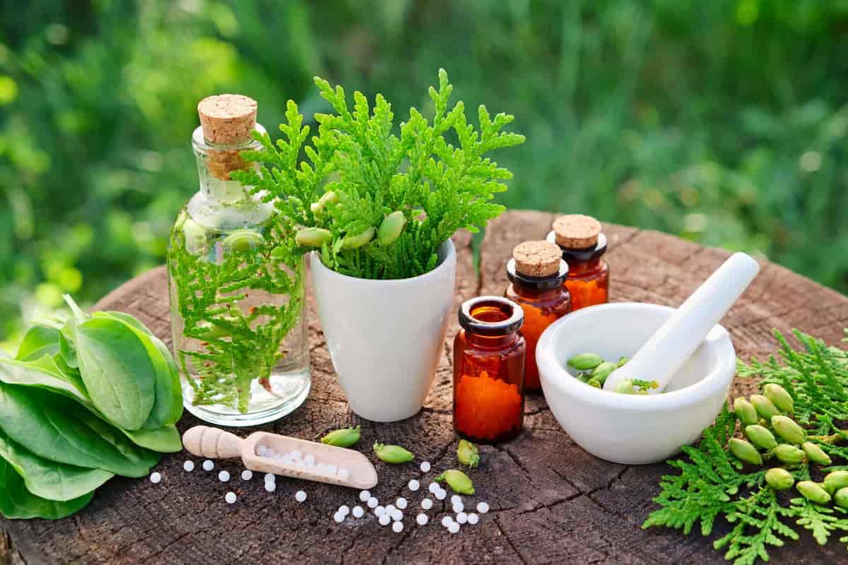 Plastik Mutfak Gereçleri
